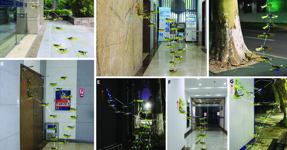 The Robot That Can Land and Take Off